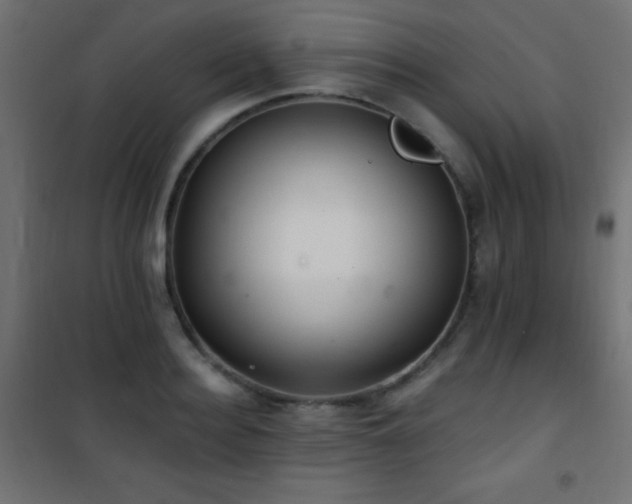 X0000101450940200807071402