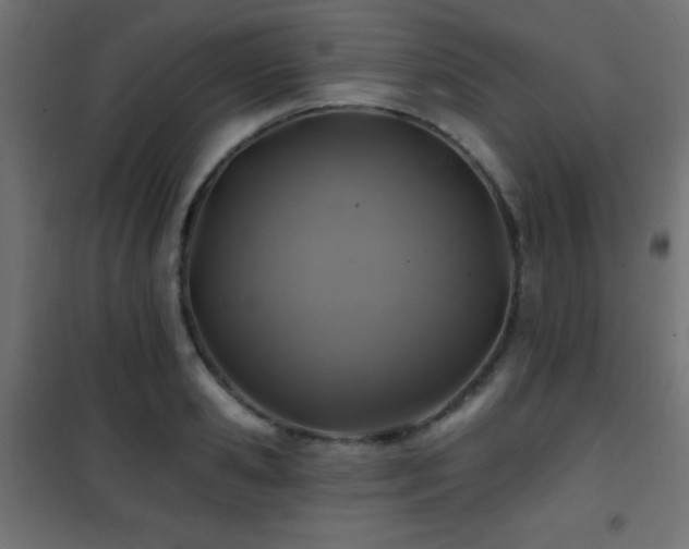 X0000101450941200807071402