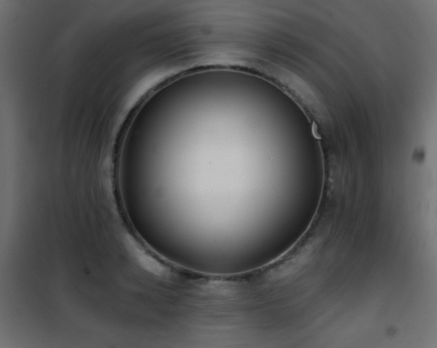 X0000101450942200807071402