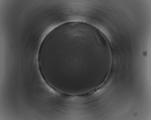 X0000101450943200807071402