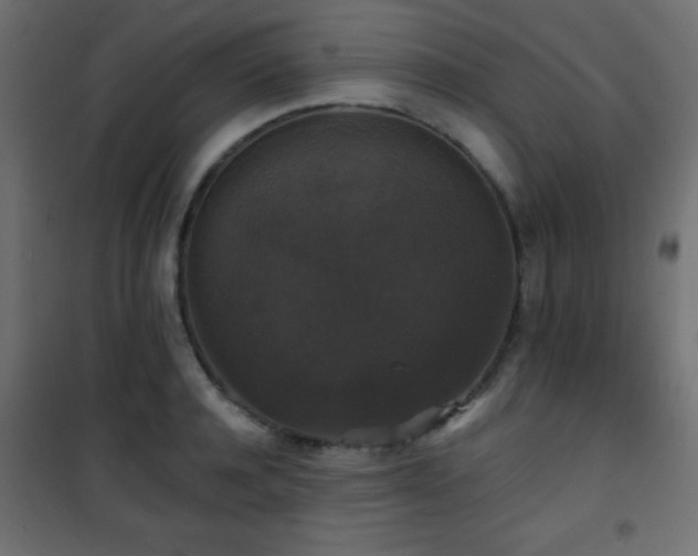 X0000101450944200807071402