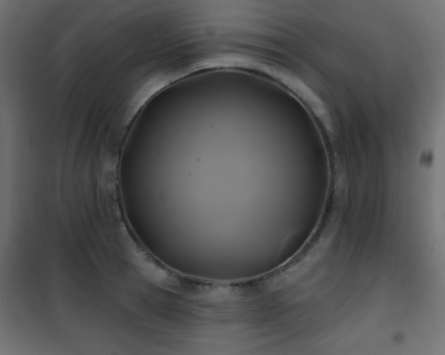 X0000101450945200807071402