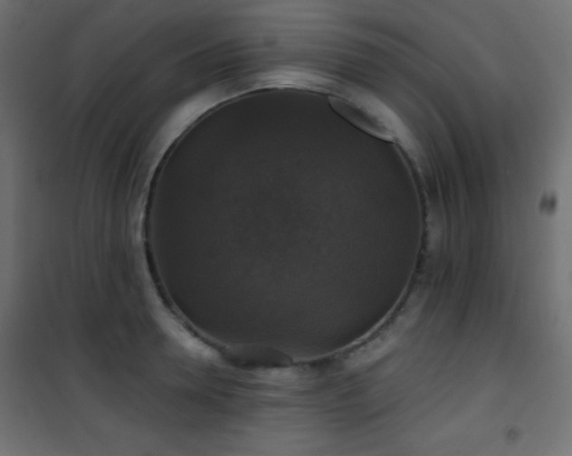 X0000101450946200807071402