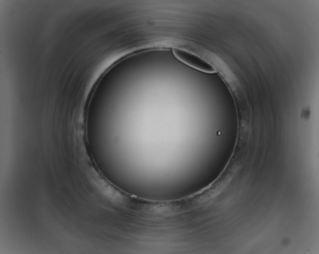 X0000101450948200807071402