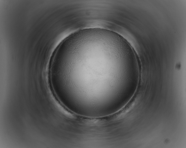 X0000101450949200807071402