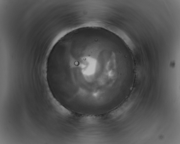 X0000101450950200807071402