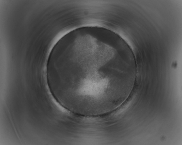X0000101450951200807071403