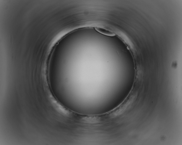 X0000101450952200807071403