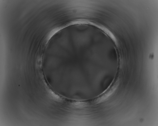X0000101450953200807071403