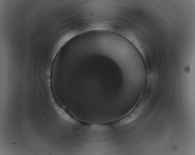 X0000101450954200807071403
