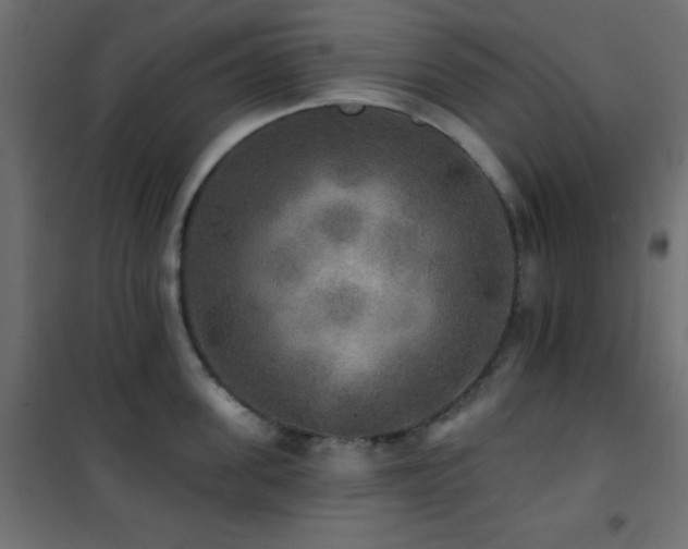 X0000101450955200807071403