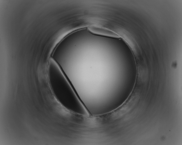 X0000101450956200807071403
