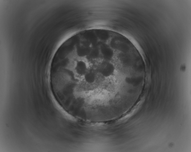 X0000101450957200807071403