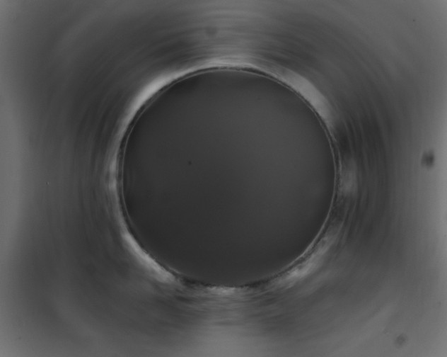 X0000101450958200807071403
