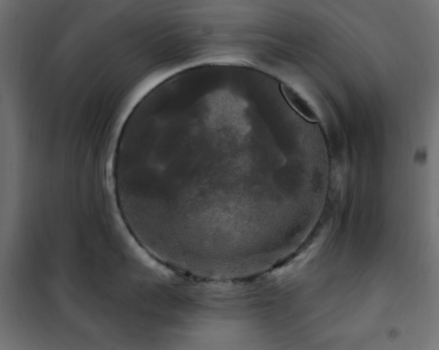 X0000101450959200807071403