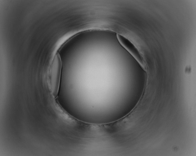 X0000101450960200807071403