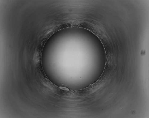 X0000101450962200807071402