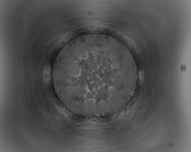 X0000101450963200807071402