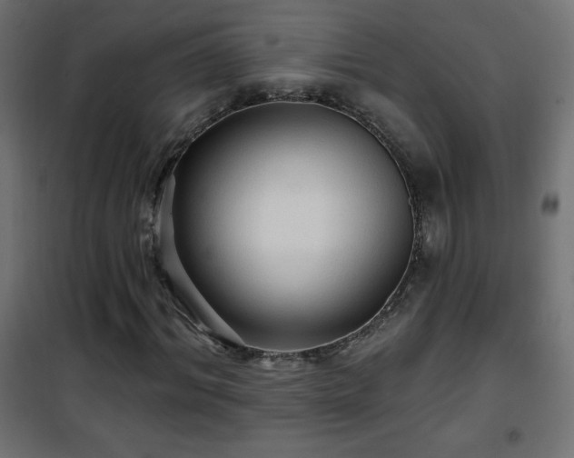 X0000101450964200807071402