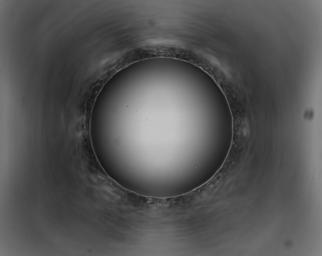 X0000101450965200807071402