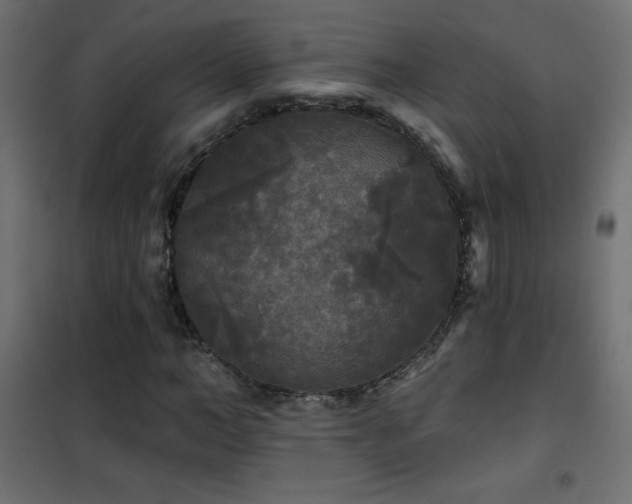 X0000101450966200807071402