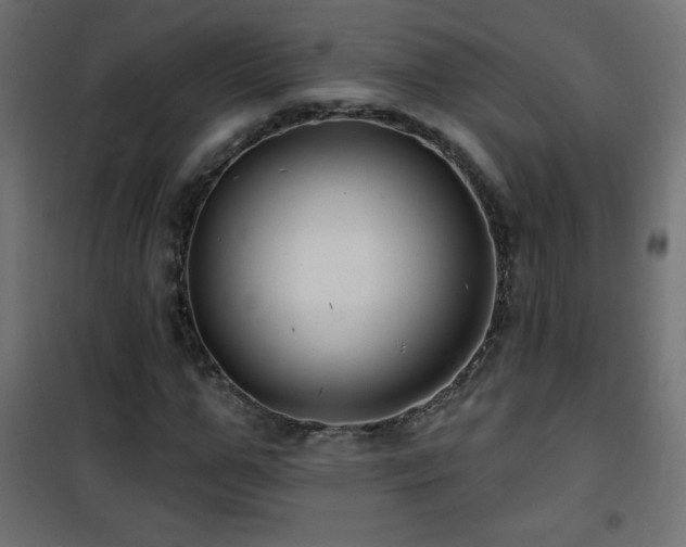 X0000101450967200807071402