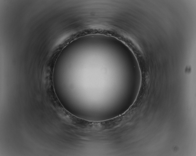 X0000101450968200807071402
