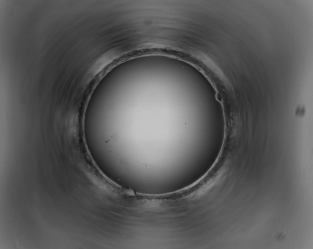X0000101450969200807071402