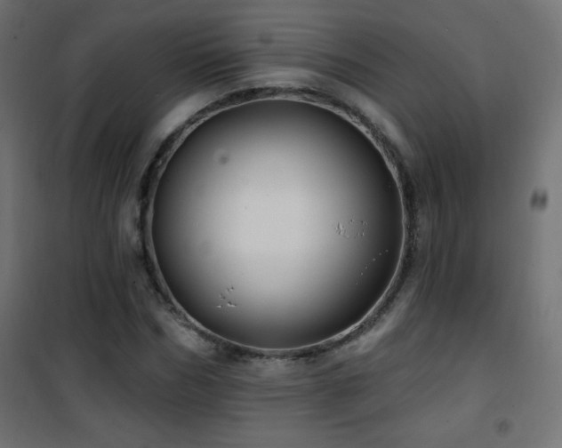 X0000101450970200807071402