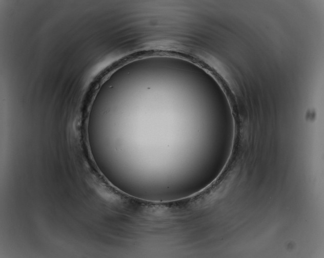 X0000101450971200807071402