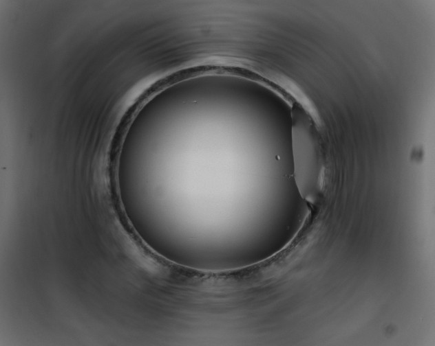 X0000101450972200807071402