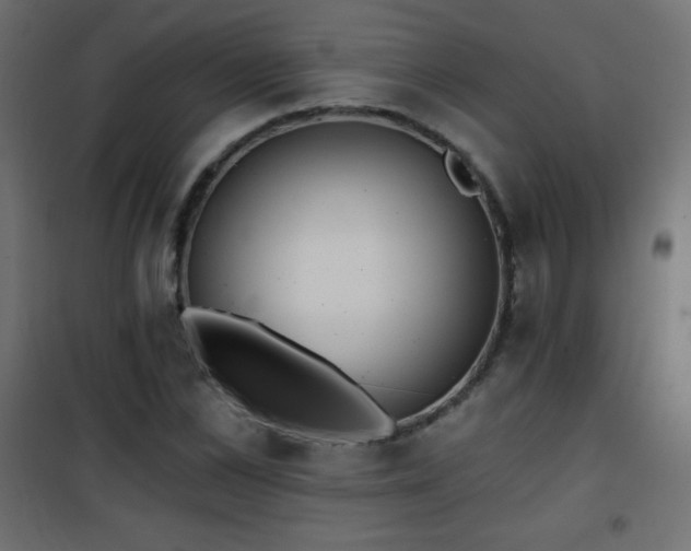 X0000101450973200807071402