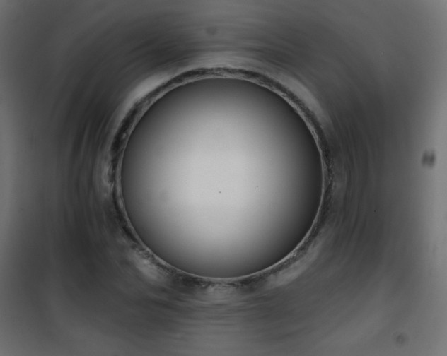 X0000101450974200807071402