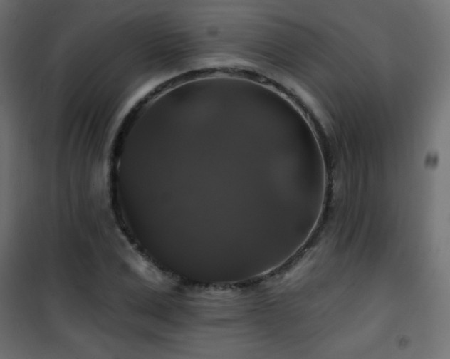 X0000101450975200807071402