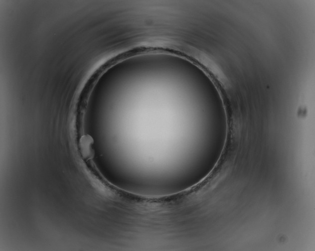X0000101450976200807071402
