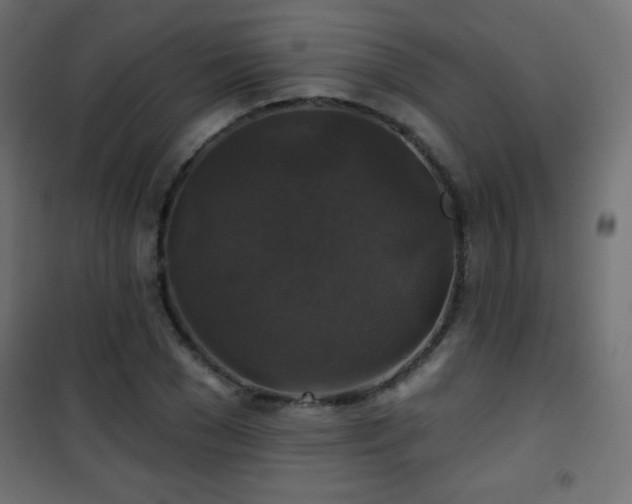 X0000101450977200807071402
