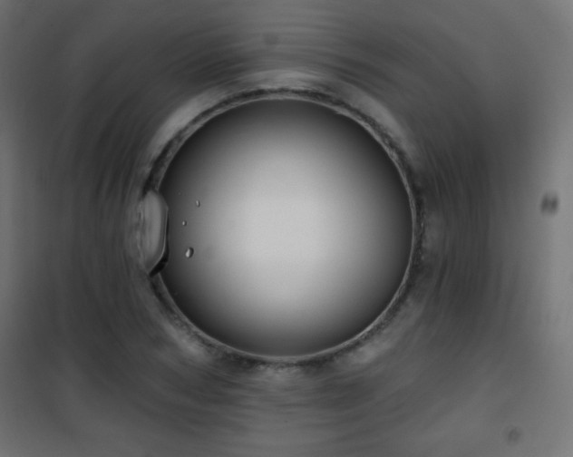 X0000101450978200807071402
