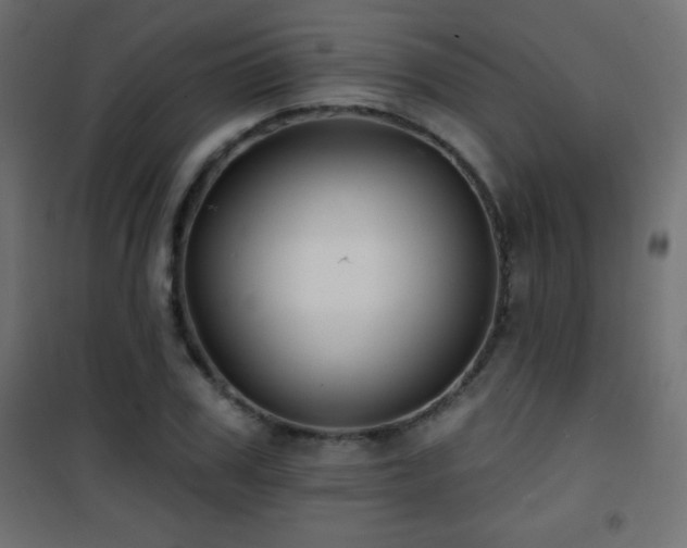 X0000101450979200807071402