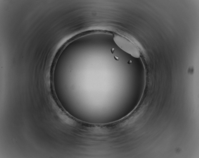 X0000101450980200807071402