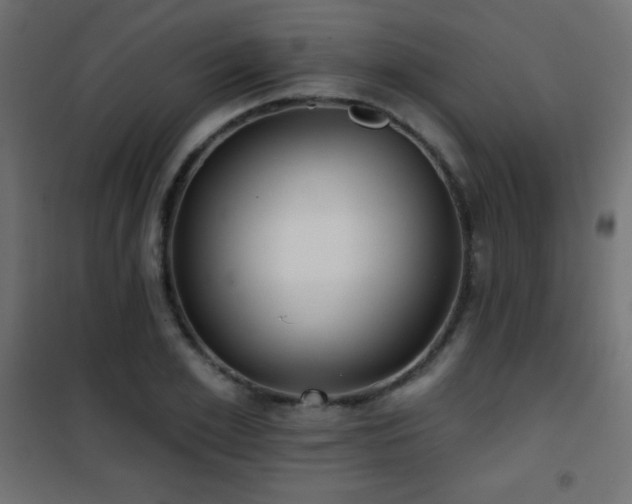 X0000101450981200807071402