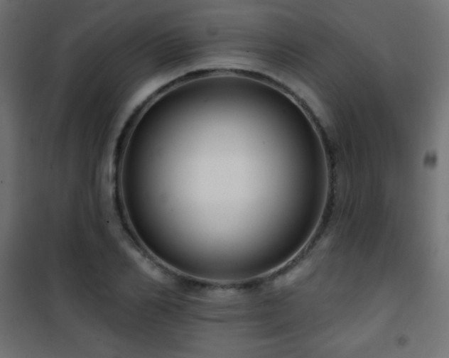 X0000101450982200807071401