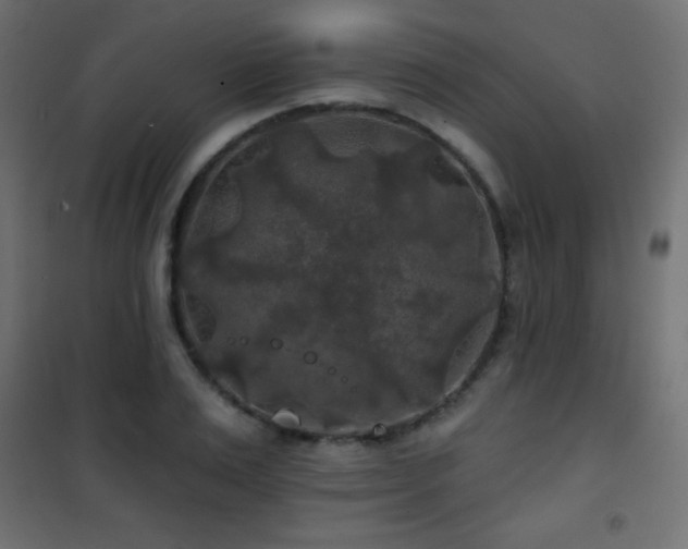 X0000101450983200807071401