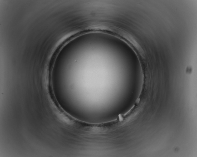 X0000101450984200807071401