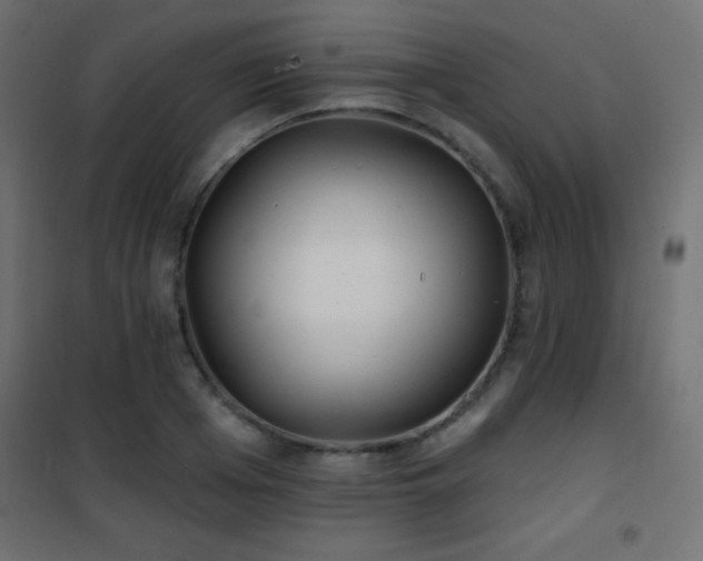 X0000101450985200807071401
