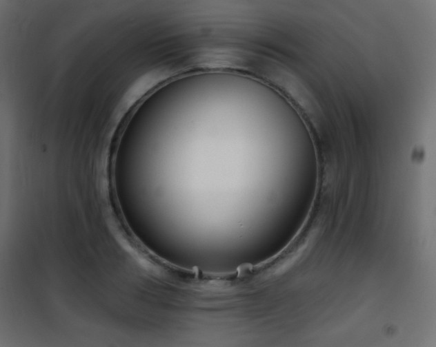 X0000101450986200807071401