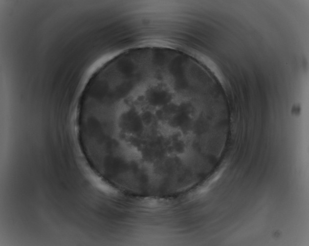 X0000101450987200807071401