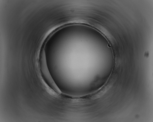 X0000101450988200807071401