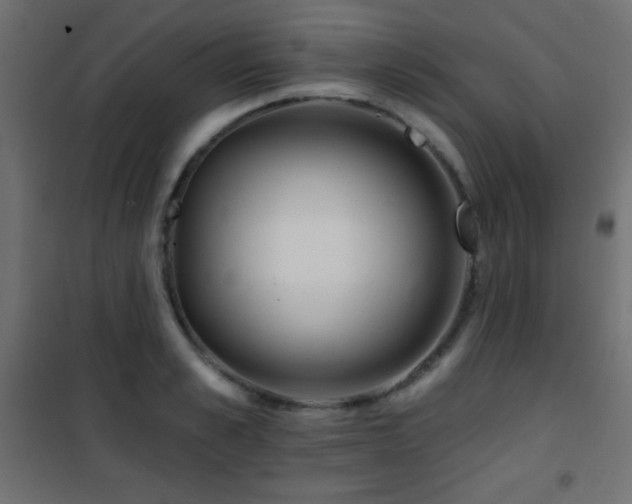 X0000101450989200807071401