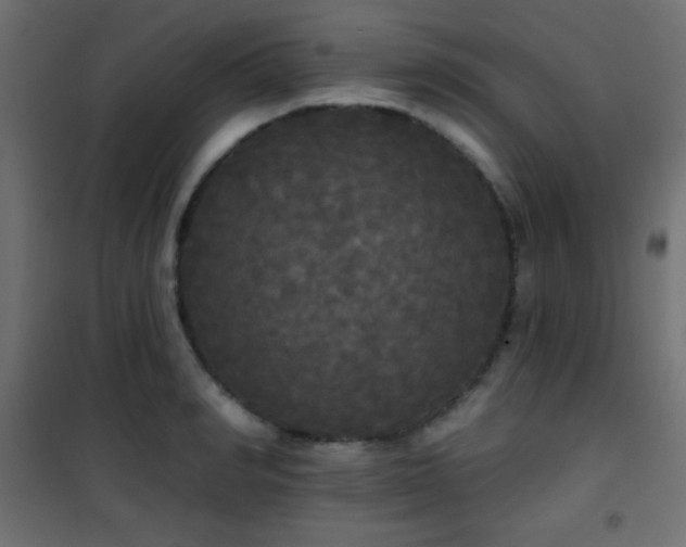 X0000101450990200807071401