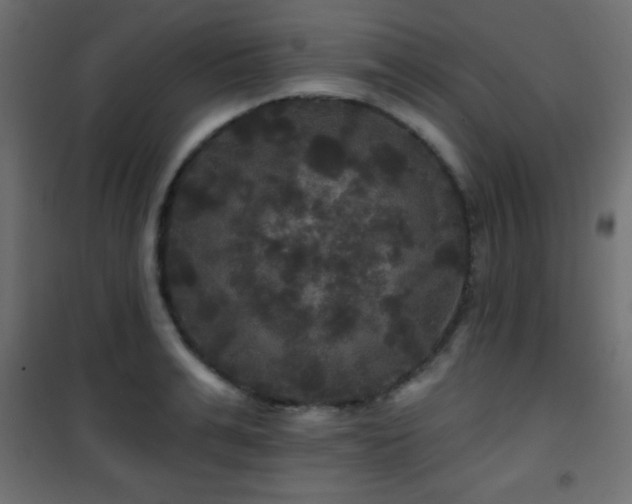 X0000101450991200807071401